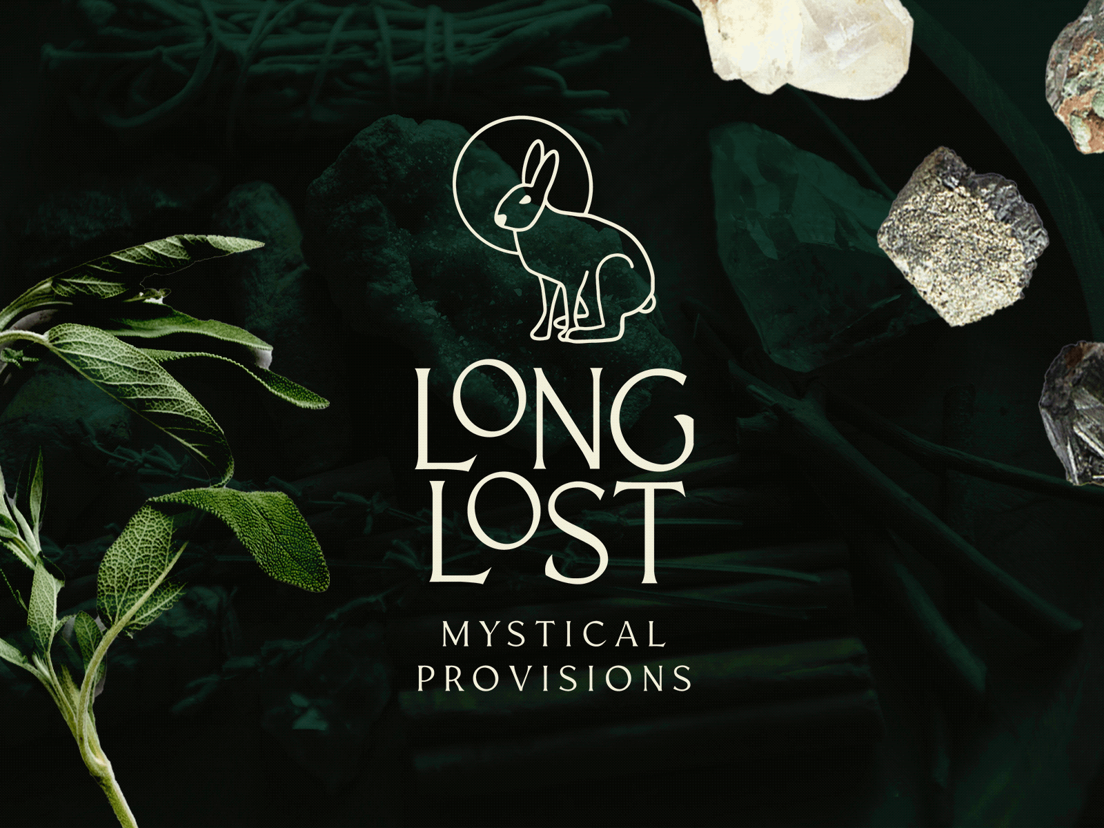 Long Lost Mystical Provisions branding celtic crystals design hare illustration irish logo design long lost manifest metaphysical moon mystic mystical procreate provisions rabbit