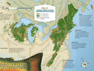 Brook Trout Distribution Map map poster retro