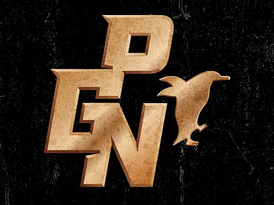 PGN Monogram 3d design design illustrator cc logo metalic monogram photoshop cc vector