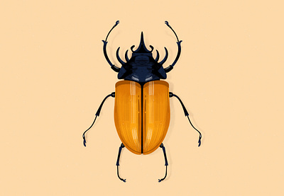 Five-horned Rhinoceros Beetle illustration illustrator procreate