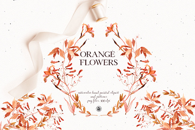 Orange flowers - watercolor hand painted set flowers flowers illustration nature watercolor flowers watercolor painting