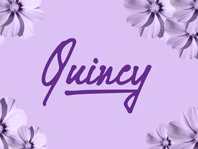quincy font font awesome font design fonts lettering lettering artist script lettering scriptfont