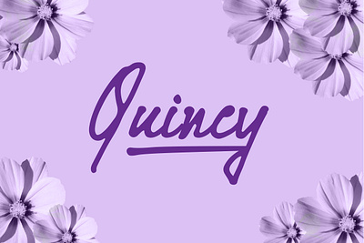 quincy font font awesome font design fonts lettering lettering artist script lettering scriptfont