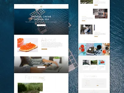 UI / Caviar Website design langing page ui ux web web design webdesign website website design