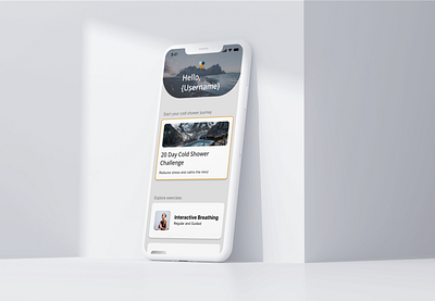 Wim Hoff App - Mockup app design graphic design mockup prototype ui ux
