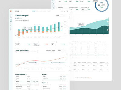 OrderMetrics Reports analytics dashboard brand identity branding data data visualization data viz design information design marketing reports ui ui design ux ux design