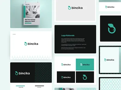 Branding for Bincika brand brand identity brandidentity branding branding and identity branding concept branding design data data branding datalogo design logo logo design logos logotype minimal