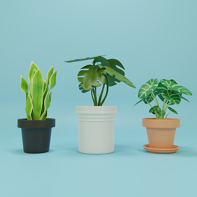 Plants Study 3d art 3d modeling blender blender3d