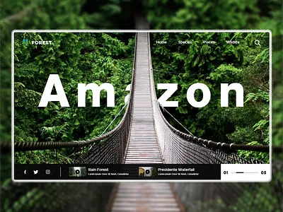 Amazon Website Design amazon branding dailyui design forest forestry minimalism rainforest ui uiux ux website