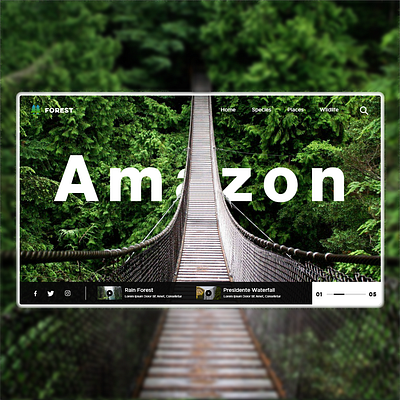 Amazon Website Design amazon branding dailyui design forest forestry minimalism rainforest ui uiux ux website