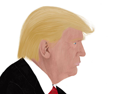 President Donald J Trump 2020 digital digital illustration fourwindsgraphics illustration portrait presidents trump