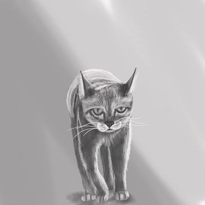 walking cat animal blackandwhite cat cat lover digitalart greyscale photoshop art