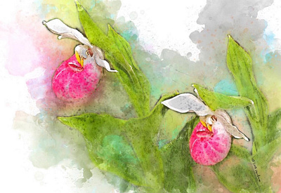 Orchids - Pair digital painting illustration photoshop