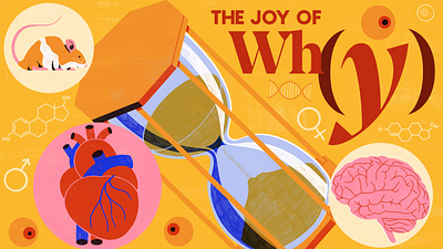 Quanta Magazine - The Joy of Why ageing colour design editorial illustration illustration medical print science tech