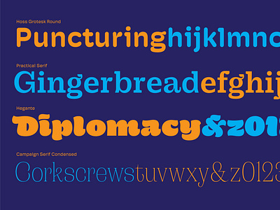 Type in Progress custom fonts foundry letterforms letters type type design typeface typography