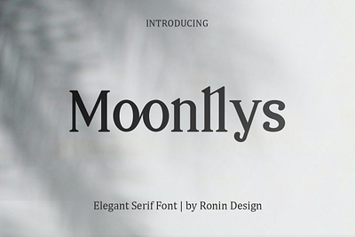 Moonllys Serif Font classy elegant font font awesome font design fonts magazine serif serif typeface text typography