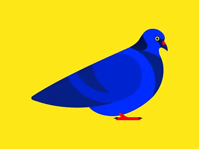 The Coo Neighbor animals blue bright city flat illustration neighbor pigeon red yellow