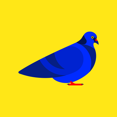 The Coo Neighbor animals blue bright city flat illustration neighbor pigeon red yellow