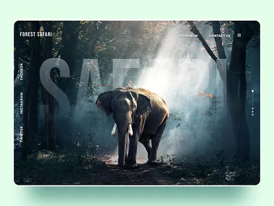Forest Banner Concept banner branding design figma illustration typography ui ux web