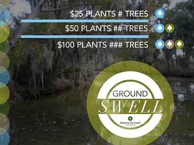 RTE Foundation Groundswell Concept: Promo 2