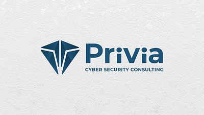 Privia Security — Logo Design brand branding cyber helmet logo logo design mood board privia privia security ruby security security logo shield