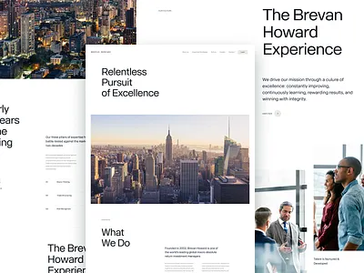 Brevan Howard — Concept Direction brand development creative agency creative direction design direction design studio interactive los angeles ui ux web design