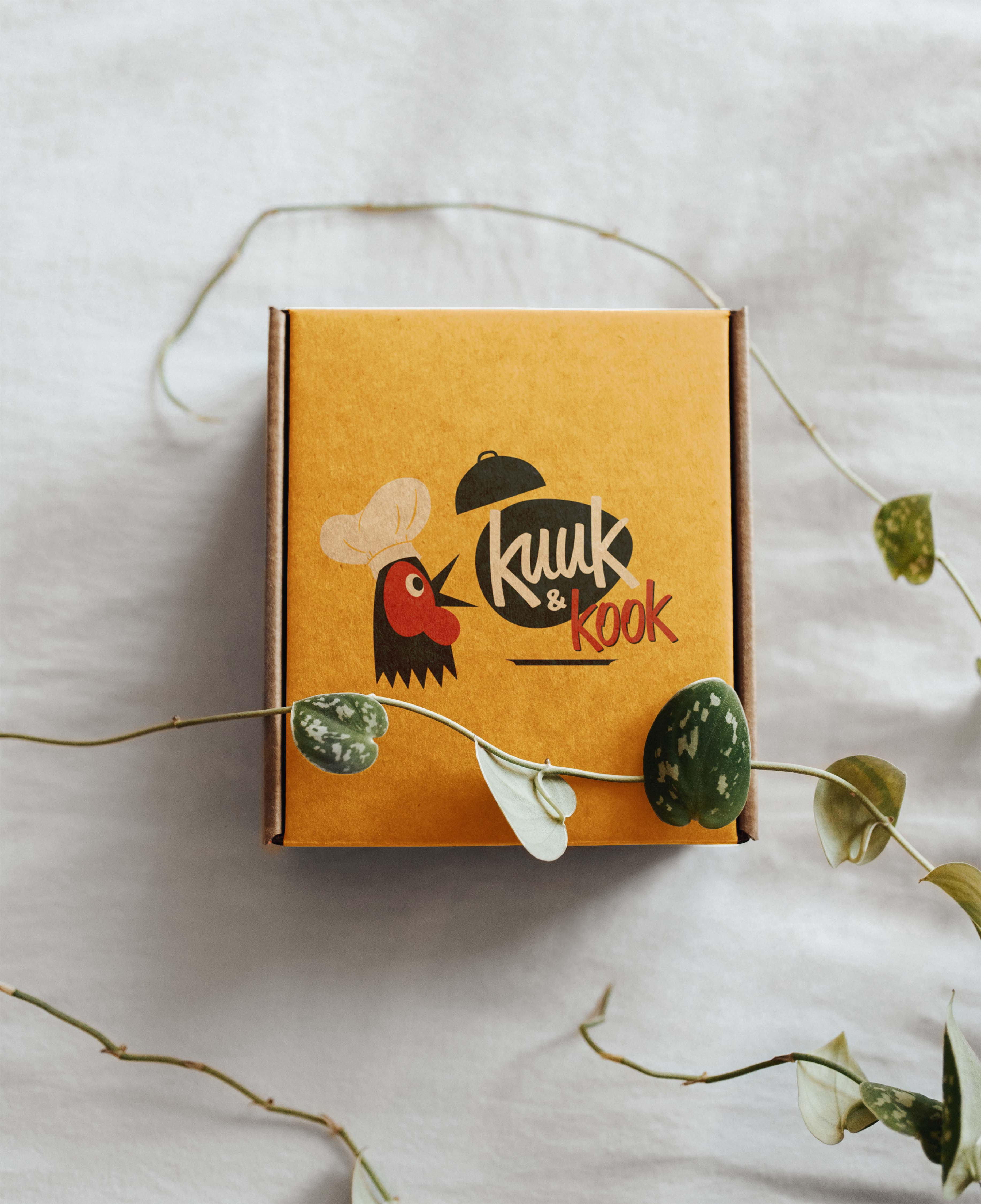 Example of Packaging illustration