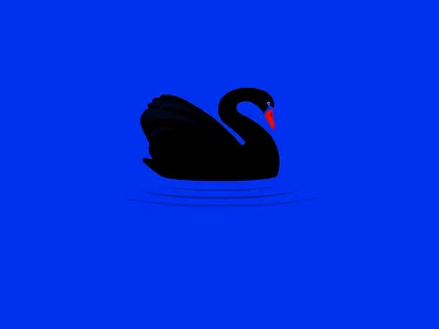Keep Swimming! animal black illustraion swan swim