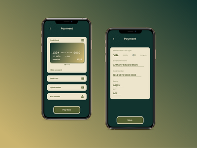 Credit Card payment 002 app art clean daily daily 100 challenge daily ui dailyui dailyuichallenge design figma flat graphic design illustration minimal ui ux