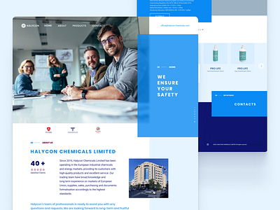 halycon chemicals web design branding case study design graphic design illustration typography ux web webdesign