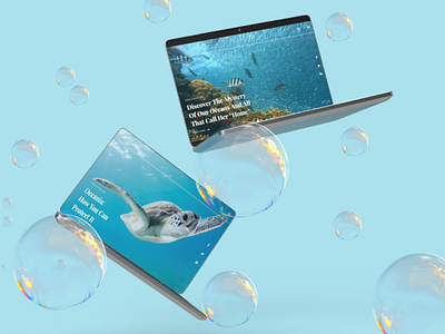 Marine Conservation Mockup adobe dimension adobe photoshop marine life ocean