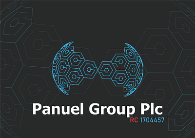 Panuel Group logo branding coreldraw 2019 design illustration logo