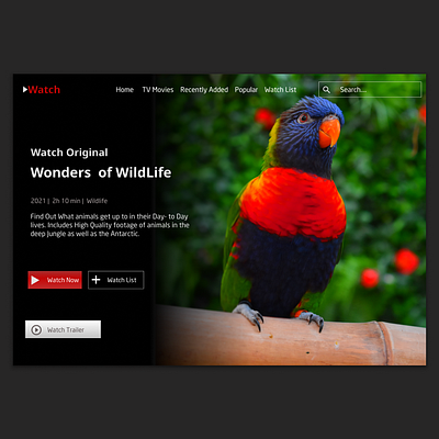 Watch Website Design Inspired By Netflix Layout branding design graphic design logo photos ui web web design website