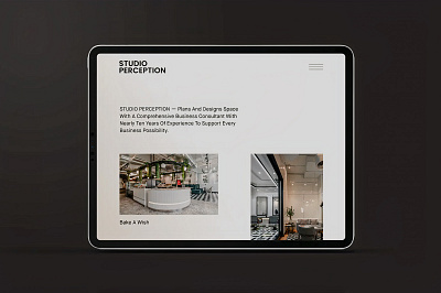 Studio Perception uiux web design web development website