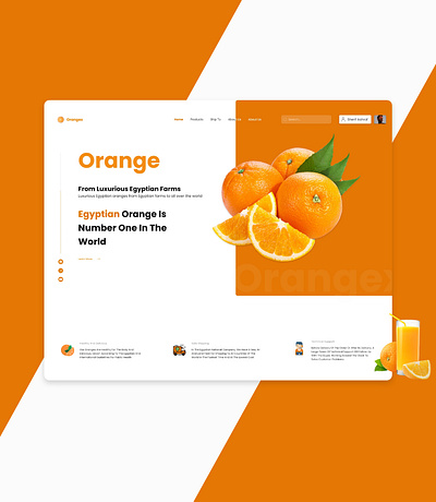 Orangex Landing page app design branding design illustration typography ui design ui ux design ux