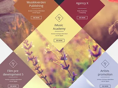 Build wordpress website with divi & elementor. buisness design elementor elementor pro entrepreneur illustration landing page design responsive design website wordpress