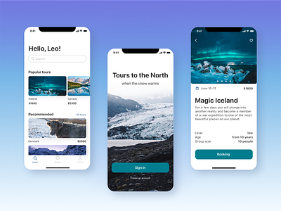 Tours to the North app design ui ux web