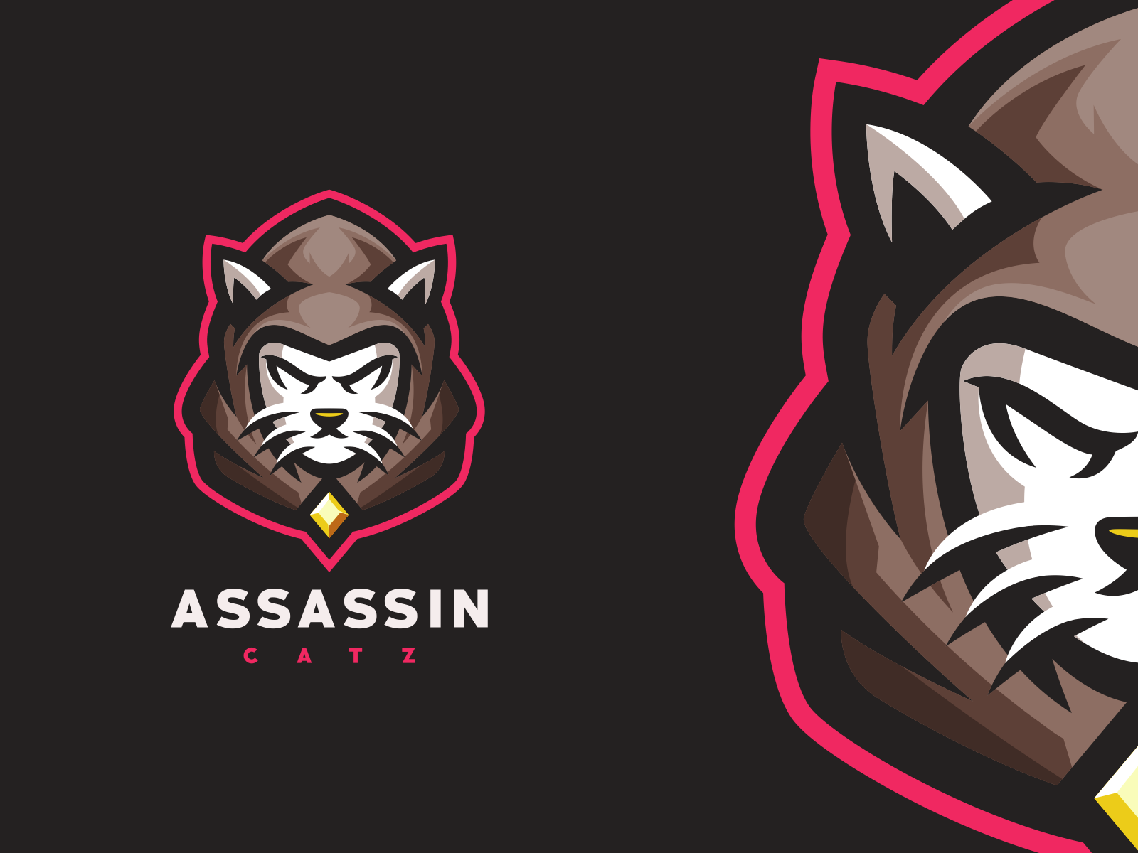 Assassin cat by Modal Tampang on Dribbble