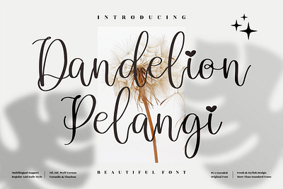 Dandelion Pelangi - Beautiful Script Font app branding design icon illustration logo minimal typography ui ux vector web