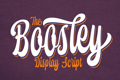 Boosley - Display Script displayfont font typeface typography