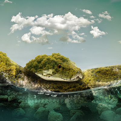 Snake Island design digital imaging graphic design illustration photo manipulation photoshop surrealism