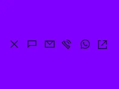 Trunkrs Animated Icons after effects animation icon icons lottiejs trunkrs website