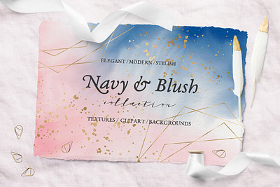 Navy & Blush Collection animation app branding design graphic design illustration illustrator minimal typography vector