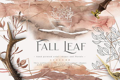 Fall Leaf Collection animation art branding design graphic design illustration illustrator minimal typography vector