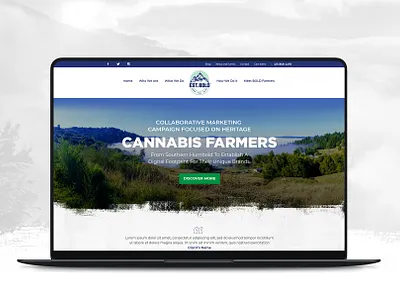 EST Bold Website Design ui web web design website design