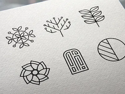 Edentify Logo Development app branding design identity logo minimal plants typography