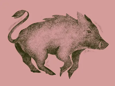 javelina boar illustration javelina pig texas