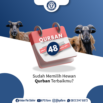 3D Day Count 3d 3d illustration adobe xd design graphic design instagram instagram post qurban social media design vector xd design