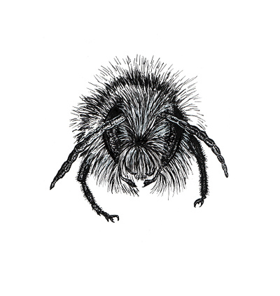 bee abeille abeille bee design handmade illustration illustration art pointillism