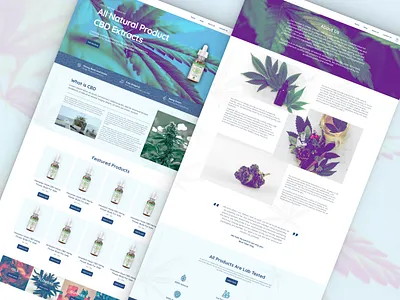 Clear Blue Day Online CBD Shop Design cannabis cannabis design cbd cbd oil dropship dropshipping dropshipping store ecommerce ecommerce business ecommerce design ecommerce shop hemp hemp oil homepage design homepage ui homepahe nutrition plant website website design